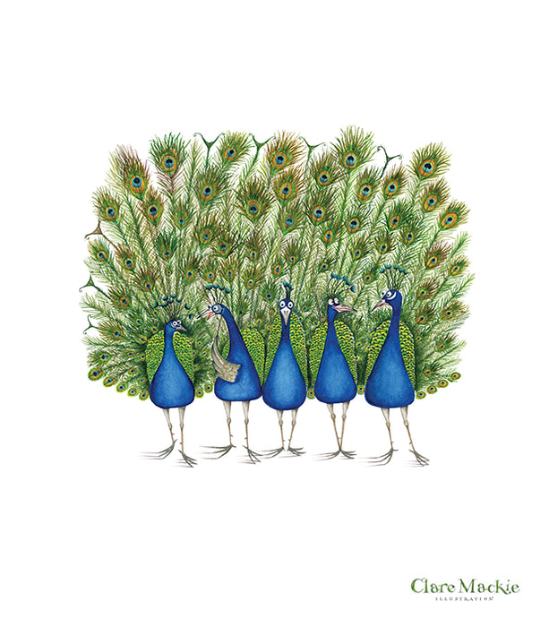 An Ostentation of Peacocks