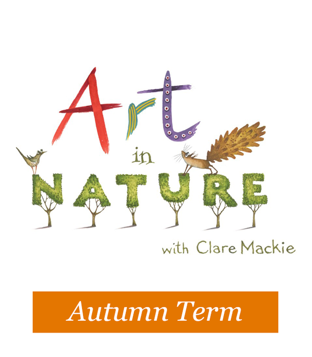 Autumn Term Art in Nature Classes