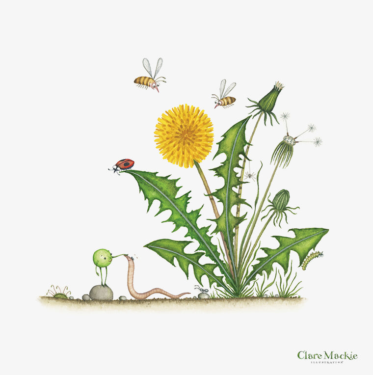 Dandylion – claremackie