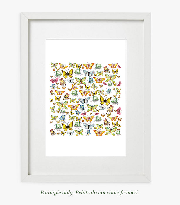 Butterflies