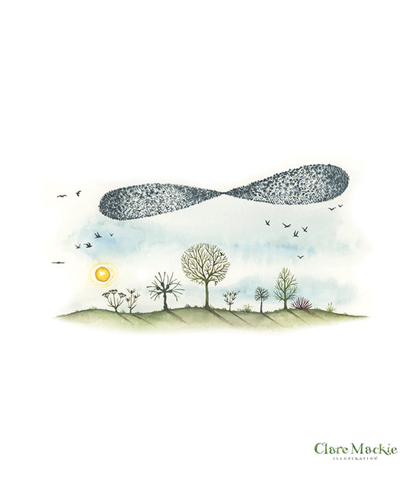 Murmuration