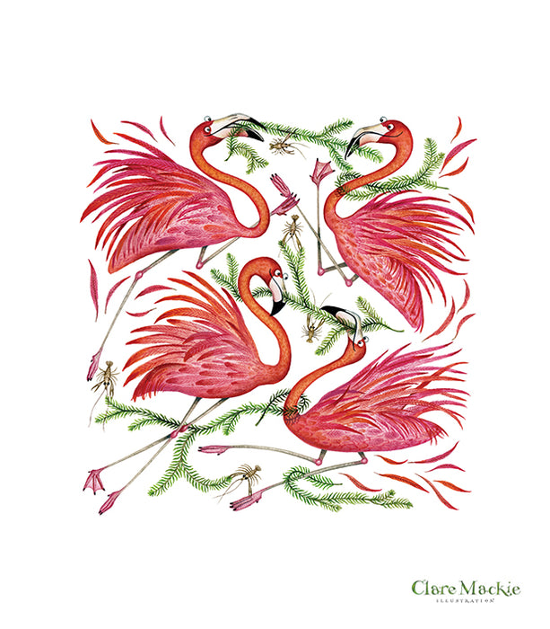 Flamboyance of Flamingoes